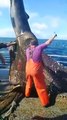 Pescadores de Isla Cristina devuelven al mar un enorme tiburón peregrino tras ser capturado en las redes, Abril 2020.