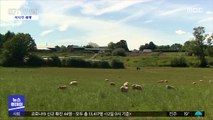 [이 시각 세계] 잉글랜드 농장서 73명 확진…노동자 200명 격리