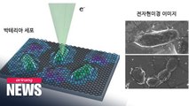 S. Korean researchers successfully observe live cells using electron microscope