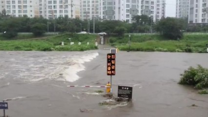 물 불어난 전주천 도보길 폐쇄...전북 폭우 피해 신고 7건 / YTN