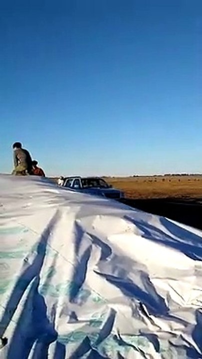 El "ataque" a las silobolsas