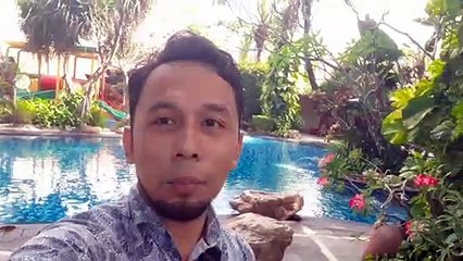 24 Fx Signals Reviews