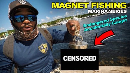 MAGNET FISHING MARINAS Pt. 2 Rare Fish Caught