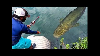 NEW Species caught on Rocket Fishing Rod!!! Help me Identify!