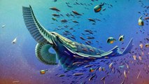 Ancient Cambrian Shrimp With Dozens Of Dagger Legs Looked Unlike Anything Alive