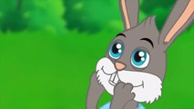 Tavşan ile Kaplumbağa - En Sevilen Klasik Masallar