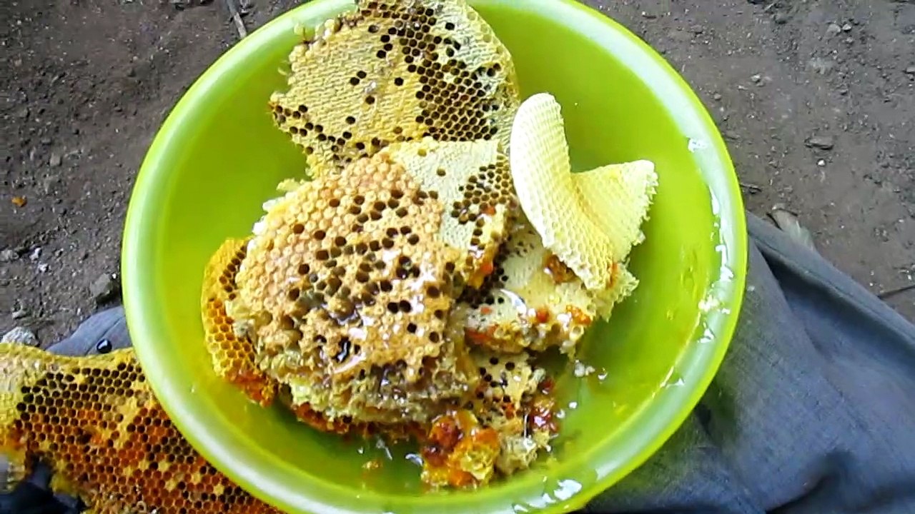 honeycomb under the floor
