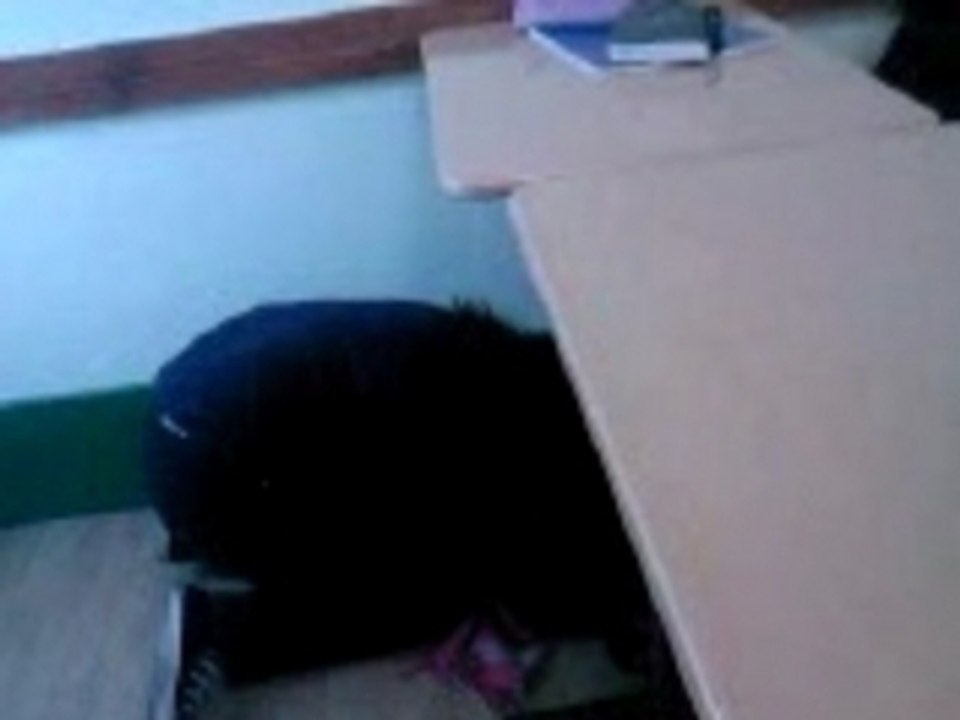 Moa ss la table