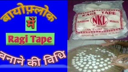 Bioflock me ragi tape banane ki vidhi | बायोफ्लॉक में रागी टेप बनाने की विधि या तरीका