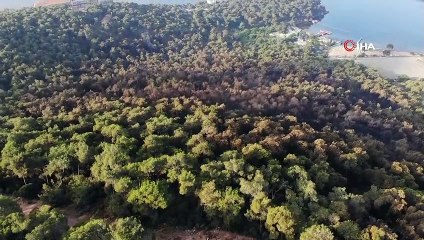 Heybeliada’da yanan ormanlık alanın son durumu görüntülendi