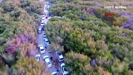 Bozcaada'da esnaf mutlu, halk tedirgin