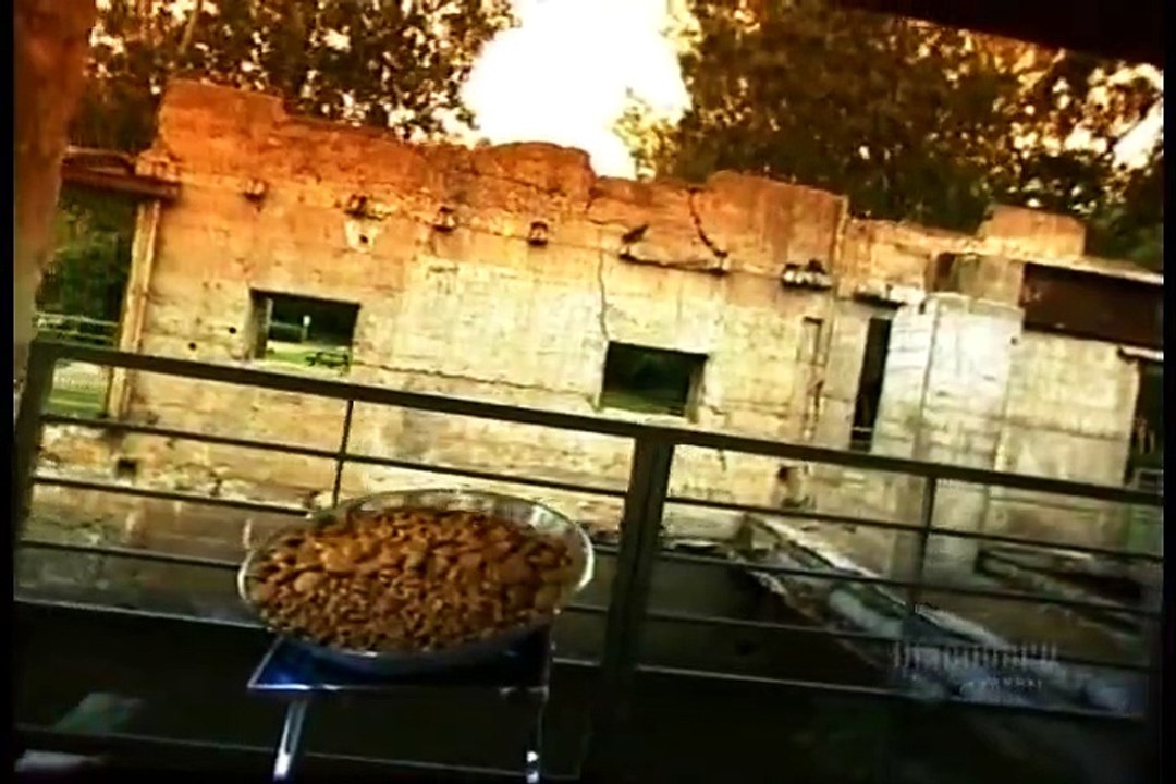 How Its Made - 123 Dog and Cat Food