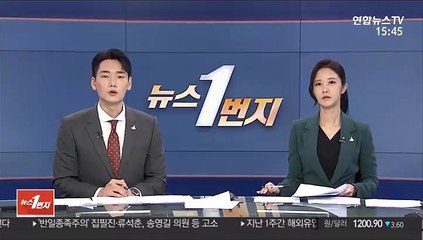 한동훈도 수사심의위 신청…"공작 실체부터 밝혀야"