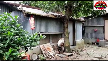 Housewife Dies in Torture .. বৌমাকে আগুনে ঝলসে যাওয়া তাড়িয়ে তাড়িয়ে উপভোগ করলেন শাশুড়ি।