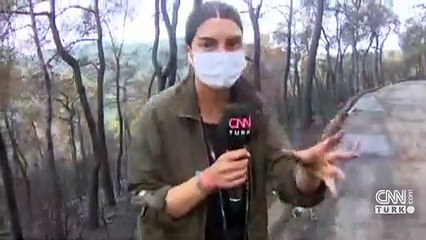 Son dakika! Heybeliada'daki yangında son durum! Fulya Öztürk anlattı