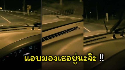 แทบช็อก !!! สาวร้องเสียงหลง เจองูโผล่หน้ากระจกรถ ชูคอแลบลิ้นสู้