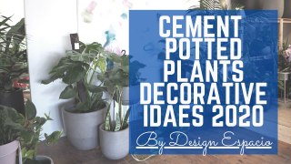 Indoor Cemented potted Plants ideas 2020 for Decoration I Interior design I Best potted plants decor