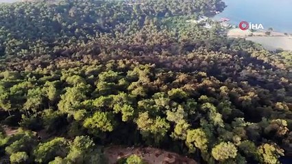 Heybeliada'da yanan alan havadan görüntülendi