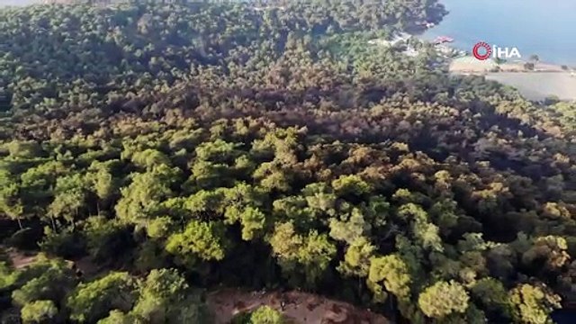 Heybeliada'da yanan alan havadan görüntülendi