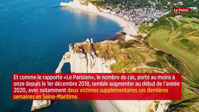 Un gang de tueurs de chevaux sévit dans différents coins de France