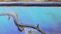 Giant Egg Discovered In Antarctica Belonged To Marine Reptile