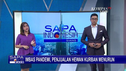 Imbas Pandemi, Penjualan Hewan Kurban Menurun
