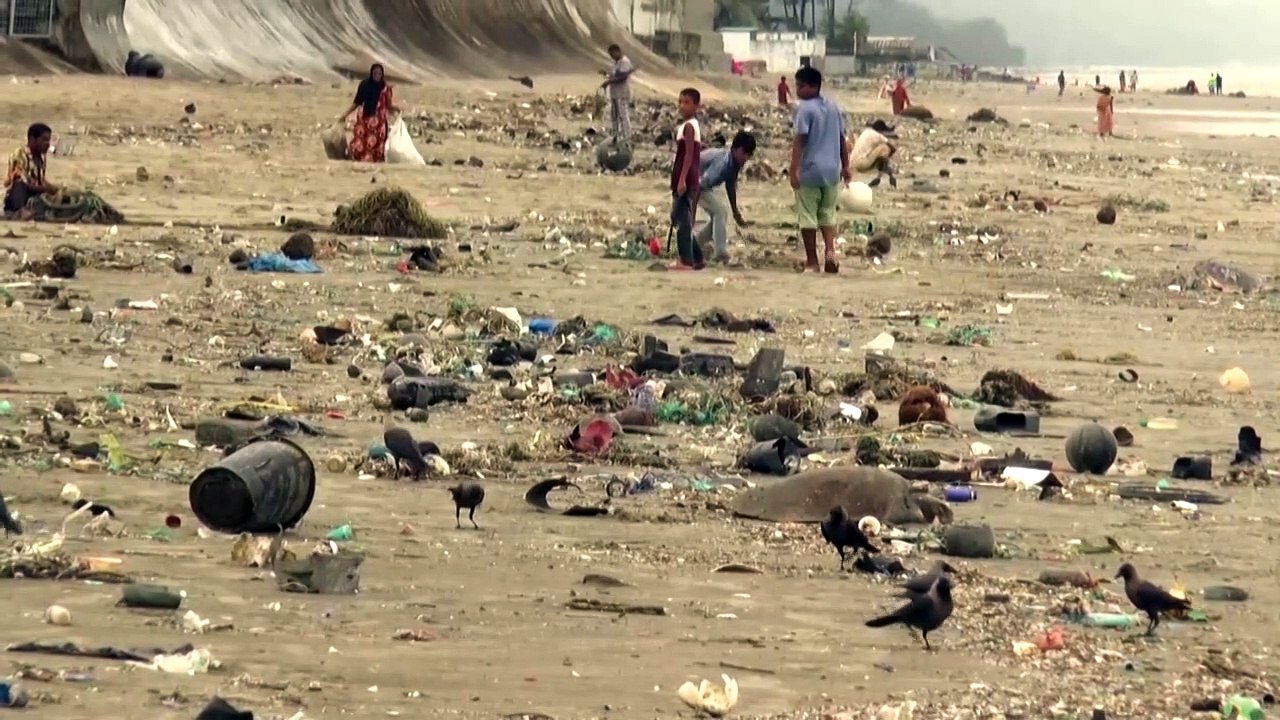 Turtles entangled in plastic on Bangladesh beach