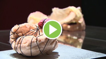 "La piel construida",  la nueva exposición que acoge La Tabacalera