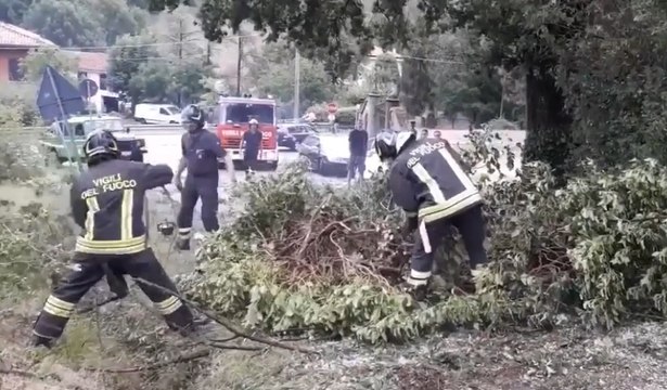 Bologna - Maltempo, crollano alberi (13.07.20)
