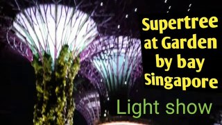 Gardens by the bay Singapore light show/ Supertree light show खूबसूरत लाइट शो  / Singapore garden by bay light show