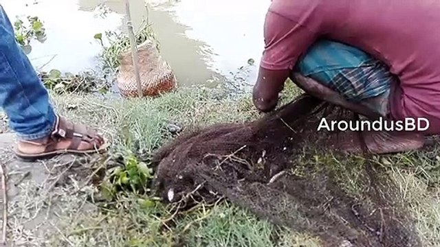 Amazing cast net fishing in nuture way - Unique net fishing in village - Fishing with beautiful