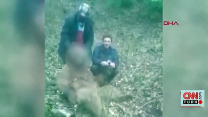 Son Dakika Haberi: Vurdukları ayıyı yumruklayan avcılar, kamerada | Video