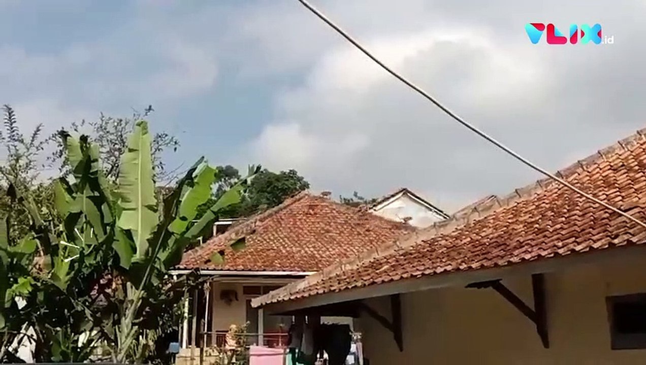 Invasi Monyet Gegerkan Warga Lembang