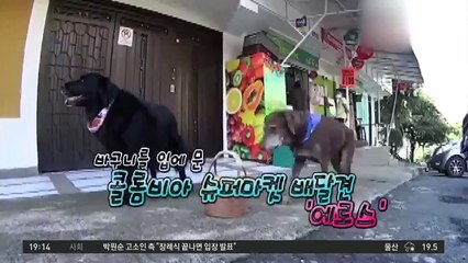 배달료는 ‘쓰담쓰담’