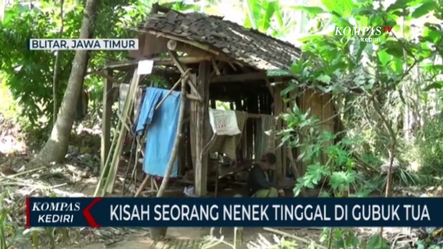 Kisah Nenek Tua Tinggal Di Gubuk Reyot Di Tengah Hutan