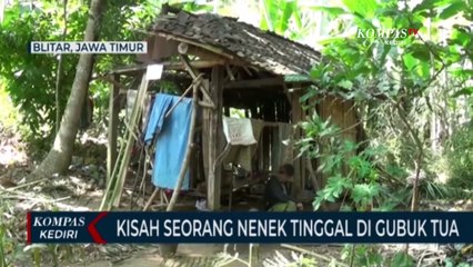 Kisah Nenek Tua Tinggal Di Gubuk Reyot Di Tengah Hutan
