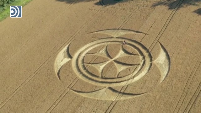 Aparece un intrigante y gigantesco símbolo de los templarios sobre un campo en el norte de Francia