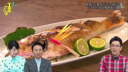 おさんぽゲストランキング優勝候補？ビビる大木 a