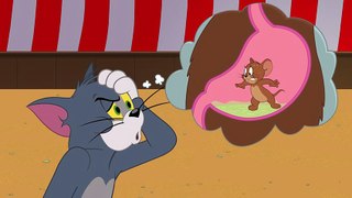 Tom & Jerry - Bear Blame
