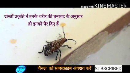 प्रकृति की माया ,कोई भी समझ न पाया । ये धरा इनकी भी है।