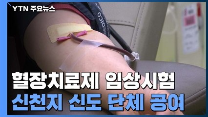 코로나19 혈장치료제 이번 주 임상시험...신천지 신도 단체 혈장 공여 / YTN