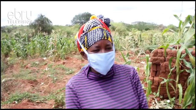 Mwingi Farmers Decry Huge Losses Incurred During The Pandemic