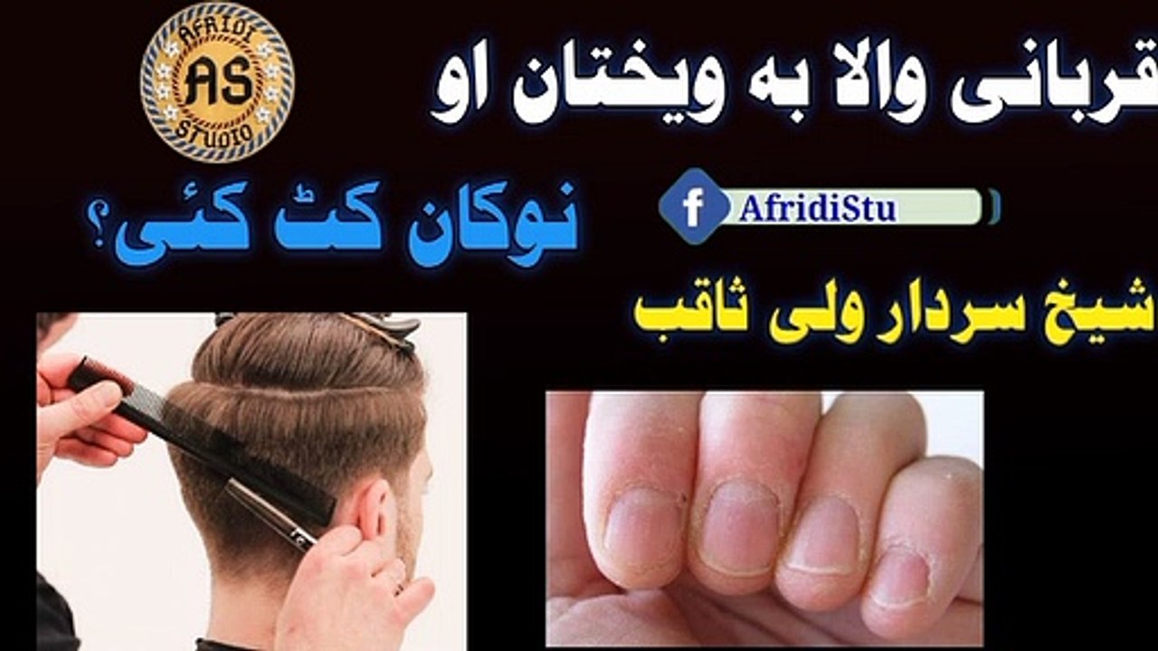 قربانی والا بہ نوکان او ویختان کٹ کئی؟ شیخ سردار ولی ثاقب | Qurbani wala ba nukan kat kai ka na