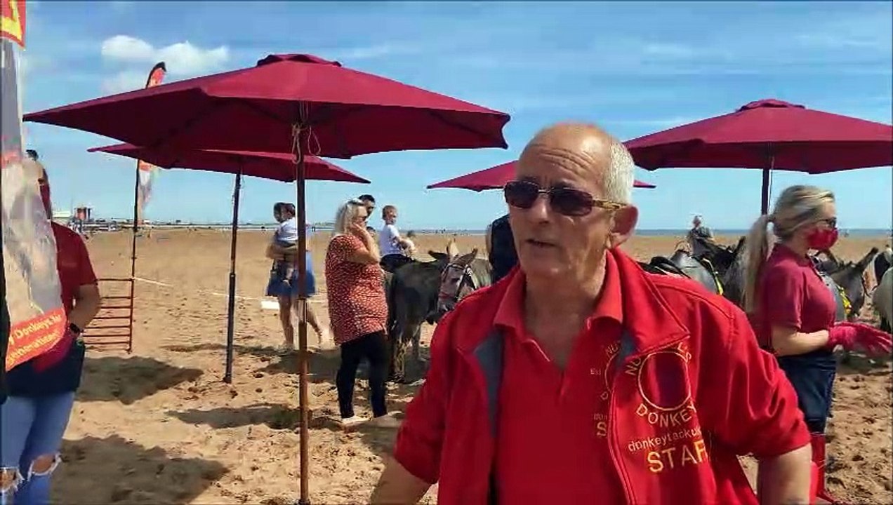 Donkeys back on Skegness beach