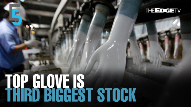 EVENING 5: Glove makers hit new highs