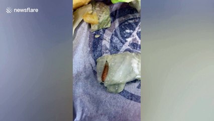 UK woman claims she found caterpillar in her Burger King meal