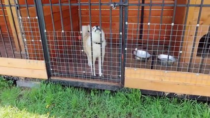 13.07.2020 Гроза поменяла все планы с лайками