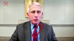 Trump Administration is Reportedly Out to Smear Dr. Anthony Fauci for Early Comments on Coronavirus