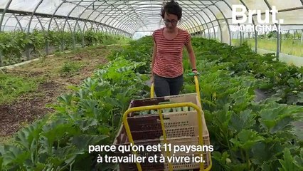 La ferme collective de la Tournerie, un modèle pour l'agriculture de demain