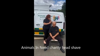 Animals in Need Head Shave
